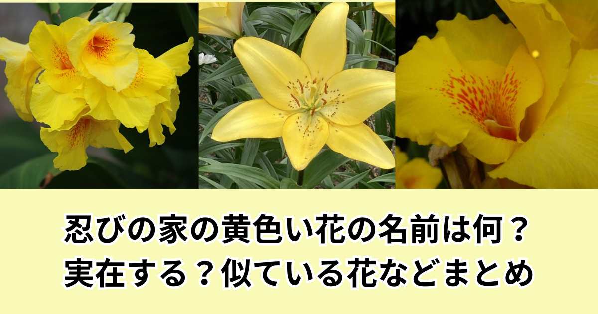 忍びの家の黄色い花の名前は何？実在する？似ている花などまとめ
